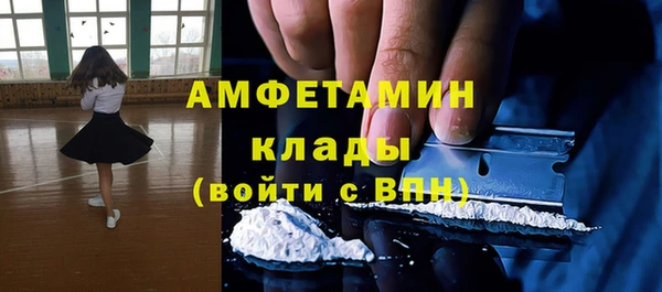 гашик Вяземский