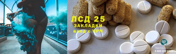 гашик Вяземский