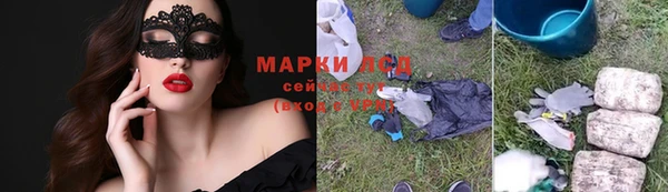гидра Володарск