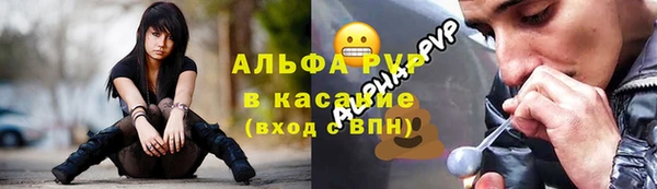 прущие грибы Вязьма
