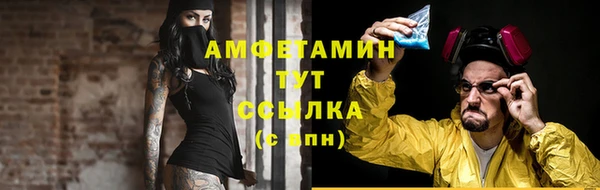 гашик Вяземский