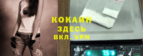 сатива Волоколамск