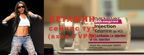гашик Вяземский