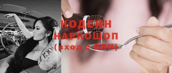 прущие грибы Вязьма