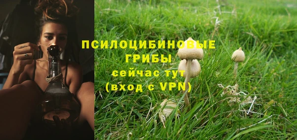гашик Вяземский