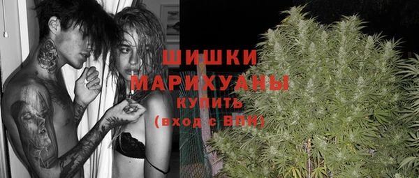 гидра Володарск