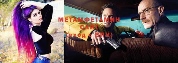 прущие грибы Вязьма