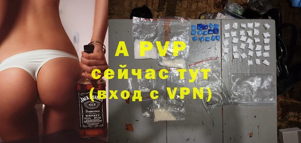 сатива Волоколамск