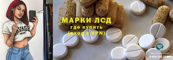 гидра Володарск