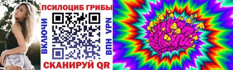 закладка  ОМГ ОМГ   Галлюциногенные грибы Psilocybe  Дмитровск 